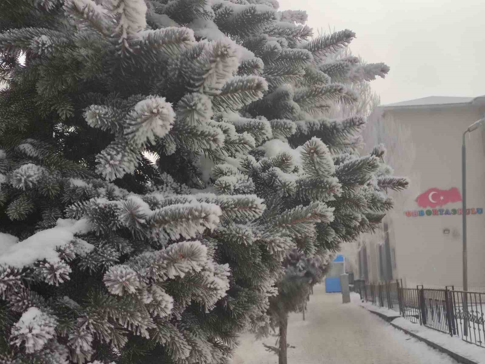 Ardahan’da dondurucu soğuklar etkisini artırdı: Ağaçlar kırağı tuttu
