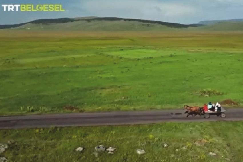 Göle Kadın Kooperatifi Başkanı Türkan Deli, TRT’de ‘kımı’ turşusunun serüvenini anlattı