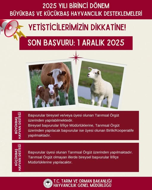 Yetiştiricilere müjde: Hayvancılık destek başvuruları başladı
